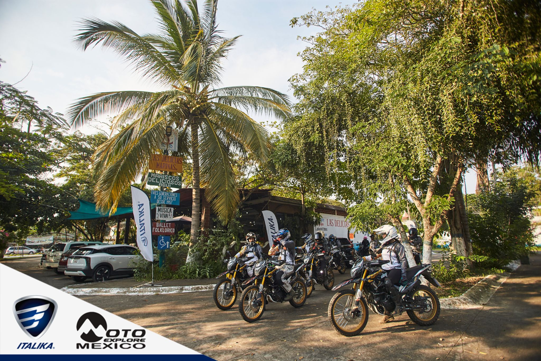 ITALIKA CHACHALACAS D1 352